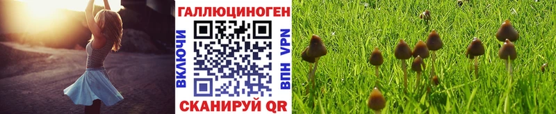 ОМГ ОМГ вход  как найти закладки  Ачинск  Галлюциногенные грибы ЛСД 
